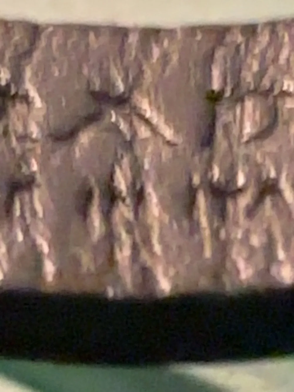 Prada Black Leather Strap Key Ring with Silver Hardware - Picture 5 of 5